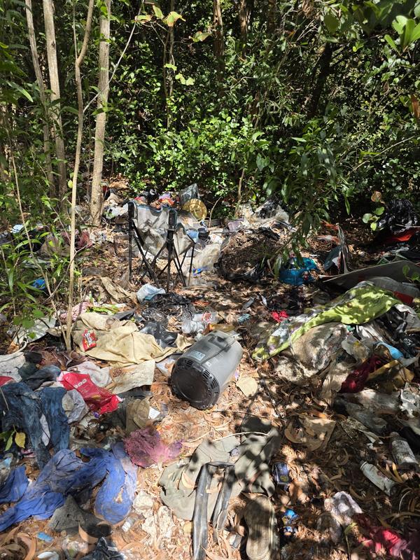 Wooded area littered with trash and debris